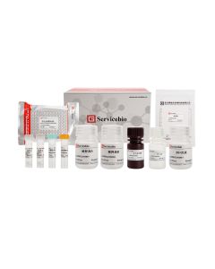 Mouse VEGF ELISA Kit servicebio GEM0022-96T