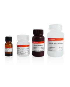 Protein Silver Stain Kit servicebio G2080-25T