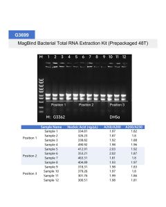 MagBind Bacterial Total RNA Extraction Kit (Prepackaged 48T) servicebio G3699-48T