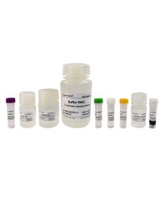 MagBind Bacterial Total RNA Extraction Kit servicebio G3617-50T