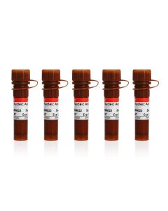 SerRed Nucleic Acid Dye (10000×, Water Soluble) servicebio G3606-5ML