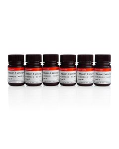 Masson Tricolor Staining Kit servicebio G1006-20ML