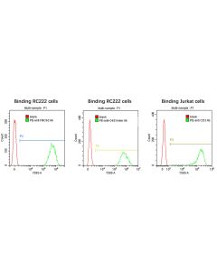 R-PE Antibody Labeling Kit ALK-A001 ACROBiosystems