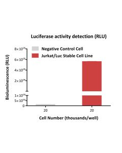 Jurkat/Luc Stable Cell Line CJUR-STP258 ACROBiosystems