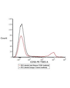 PE-Labeled Monoclonal Anti-Human CD56 Antibody FABm006-01 ACROBiosystems
