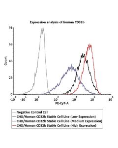 CHO/Human CD32b Stable Cell Line (High Expression) SCCHO-ATP060H ACROBiosystems