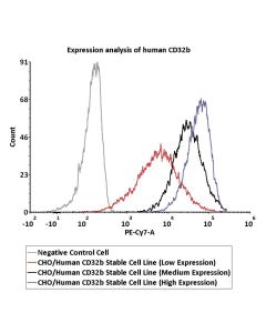 CHO/Human CD32b Stable Cell Line (Low Expression) SCCHO-ATP060L ACROBiosystems