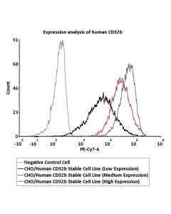 CHO/Human CD32b Stable Cell Line (Medium Expression) SCCHO-ATP060M ACROBiosystems