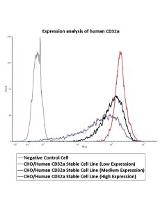 CHO/Human CD32a (131H) Stable Cell Line (High Expression) SCCHO-ATP061H ACROBiosystems
