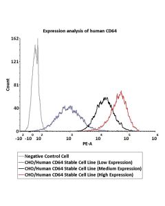 CHO/Human CD64 Stable Cell Line (High Expression) SCCHO-ATP062H ACROBiosystems