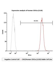 CHO/Human CD32a (131R) Stable Cell Line SCCHO-ATP223 ACROBiosystems