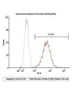 CHO/Human CD16a (158F) Stable Cell Line SCCHO-ATP224 ACROBiosystems