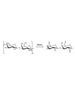 Hyaluronidase（specificity for hyaluronate sodium）, CAS No.37326-33-3 H766309-100U Aladdin