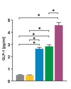 Mouse glucagon-like peptide-1,GLP-1 ELISA Kit CSB-E08118m CUSABIO