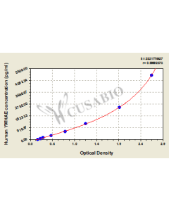 Human 14-3-3 protein epsilon(YWHAE) ELISA kit CSB-EL026287HU CUSABIO