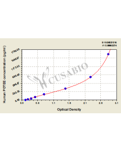 Human POTE ankyrin domain family member E(POTEE) ELISA kit CSB-EL740863HU CUSABIO