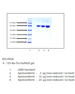 Transferrin (APO) from Human Plasma, CAS No.11096-37-0 np001128-50mg Aladdin