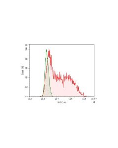 FITC-conjugated Flag-Tag Monoclonal Antibody (AN00299C) elabscience