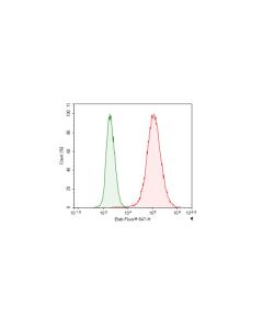 Elab Fluor ® 647-conjugated HA-Tag Monoclonal Antibody (AN00301M) elabscience