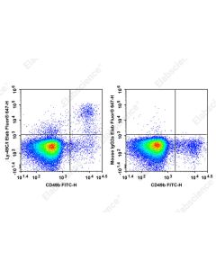 Elab Fluor ® 647 Anti-Mouse Ly-49C/I Antibody[5E6] (AN00659M) elabscience