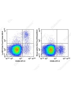 Elab Fluor ® Violet 450 Anti-Mouse Ly-49C/I Antibody[5E6] (AN00659Q) elabscience