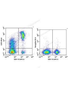 PE Anti-Mouse CD71 Antibody[R17 217.1.3/TIB-219] (E-AB-F1093D) elabscience