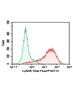Purified Anti-Mouse Ly6A/E Antibody[D7] (E-AB-F1191A) elabscience