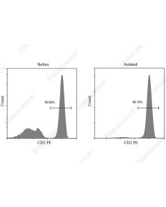 EasySort™ Human CD3+T Cell Isolation Kit (MIH001N) elabscience
