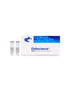 EasySort™ Human CD8+ T Cell Isolation Kit (MIH003N) elabscience
