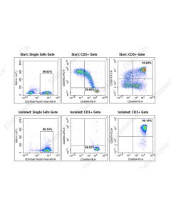 EasySort™ Human Naïve Pan T Cell Isolation Kit (MIH006N) elabscience