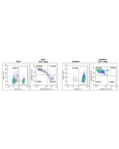 EasySort™ Human Memory CD4+T Cell Isolation Kit (MIH009N) elabscience