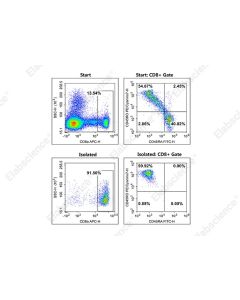 EasySort™ Human Memory CD8+T Cell Isolation Kit (MIH010N) elabscience