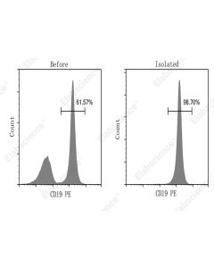 EasySort™ Mouse B Cell Isolation Kit (MIM004N) elabscience