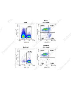 EasySort™ Mouse Pan-Naïve T Cell Isolation Kit (MIM006N) elabscience
