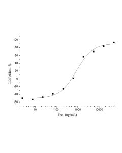 Recombinant Human Fas/CD95/TNFRSF6 Protein (His Tag) (PKSH031750) elabscience