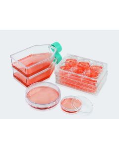 3D Sphearo ™ Ultra-low Adsorption Surface jetlifescience TCP030006