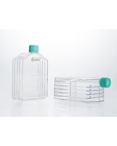 Multi-layer Cell Culture Flasks jetlifescience TCF011525