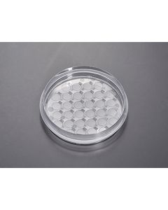CellSLIP ® Coverslips jetlifescience CXD206008