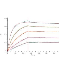 Recombinant anti-Human CD16 mAb(Cat. No.:GMP-A091) novoprotein