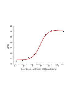 Recombinant anti-Human CD28 mAb(Cat. No.:GMP-A063) novoprotein