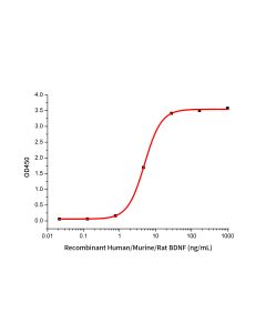 Recombinant Human/Murine/Rat BDNF(Cat. No.:GMP-C076) novoprotein