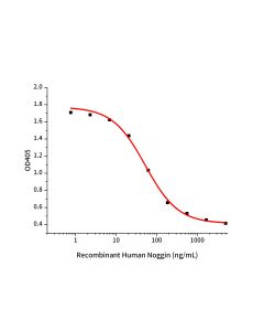 Recombinant Human Noggin(Cat. No.:GMP-CB89) novoprotein