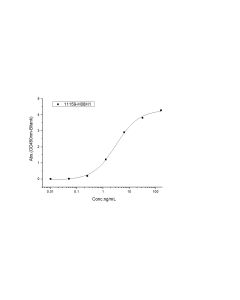 Recombinant Human CTLA-4 Protein (His Tag), HPLC-verified sinobiological 11159-H08H