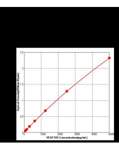 Human VEGF165 ELISA Kit sinobiological KIT11066