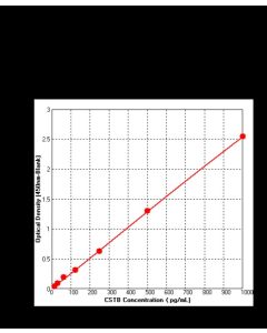 Human Cystatin B ELISA Kit sinobiological KIT10435