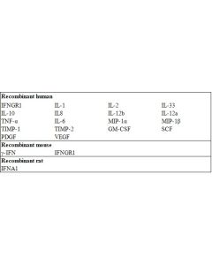 Human IFN gamma ELISA Kit sinobiological KIT11725A