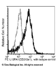 Recombinant Anti-IL-13 R alpha 1/IL13RA1 Antibody (PE), Rabbit Monoclonal sinobiological 10943-R038-P