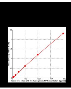 Rabies virus(RABV) (strain CVS-11) Nucleoprotein/NP ELISA Kit sinobiological KIT40913