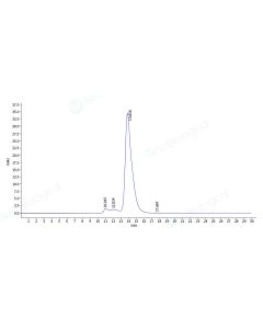 Recombinant Human c-MET/HGFR Protein (ECD, His & AVI Tag), Biotinylated, HPLC-verified sinobiological 10692-H27H-B