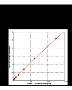 Human IGFBP-3 ELISA Kit sinobiological KIT10430